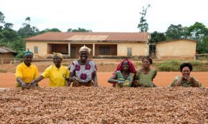 Productoras de cacao de Comercio Justo de la organización Kuapa Kokoo en Ghana
