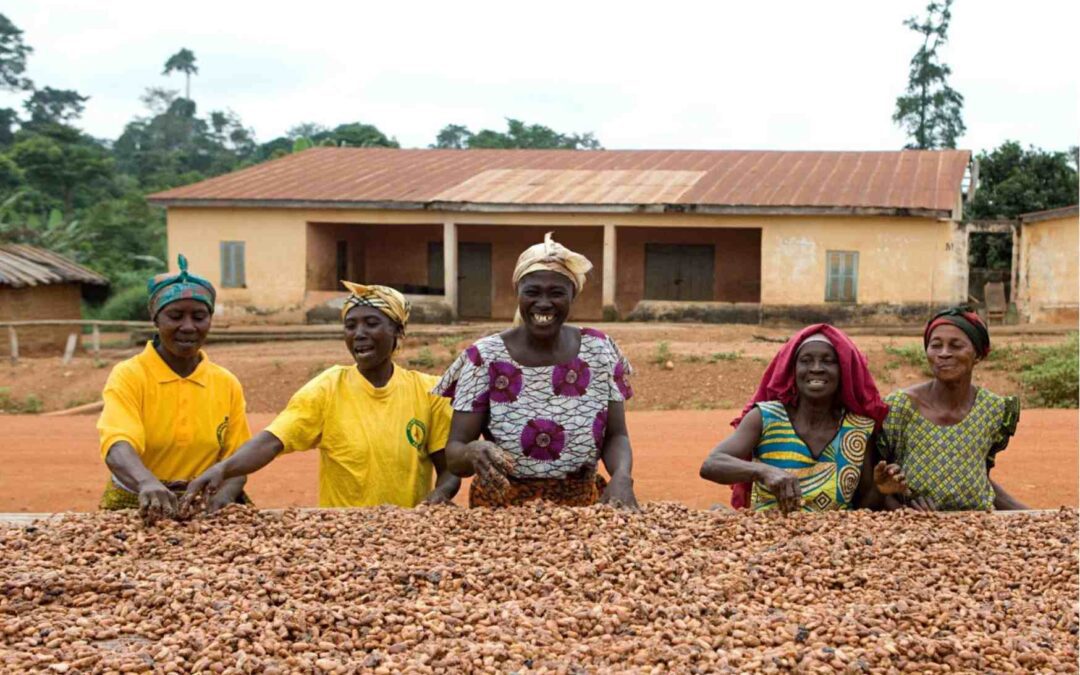 Kuapa Kokoo (Unión de buenos productores de cacao)