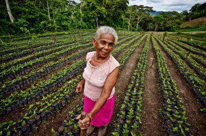 Intermón Oxfam lanza el primer café de Comercio Justo que promueve los derechos de propiedad de las mujeres