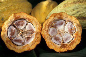El cacao de Comercio Justo, un año más en el Salón del Chocolate