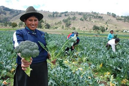 El Comercio Justo contribuye al desarrollo de las mujeres de zonas rurales