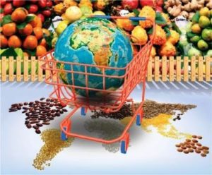 ¿Por qué consumir productos orgánicos y de Comercio Justo?