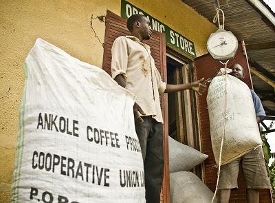 Ankole: donde el buen comercio se traduce en justicia y desarrollo