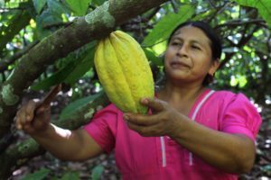 IDEAS presenta el Informe “Soberanía Alimentaria. La voz de los pequeños productores”