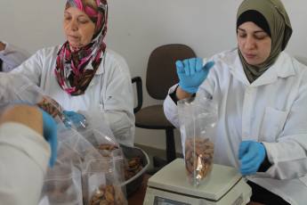 Palestina aterriza en BioCultura de la mano de La Tenda de tot el món