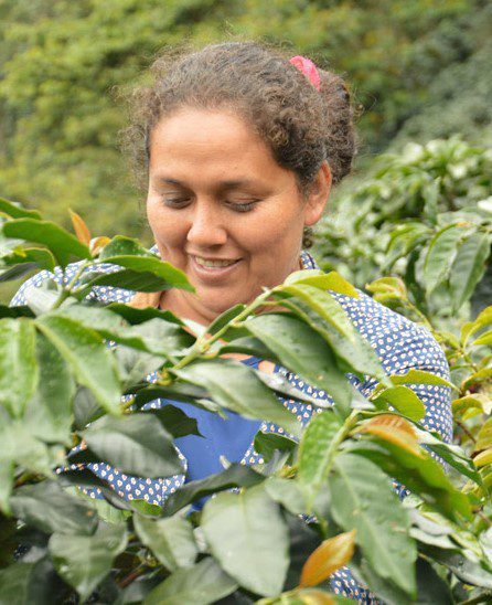 Representantes de cooperativas de café y cacao de Perú explican los impactos del Comercio Justo