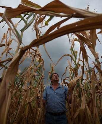 Representantes de Comercio Justo piden a la COP-27 aumentar la financiación climática para las pequeñas organizaciones agrícolas