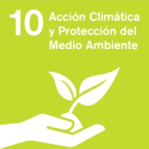 Acción climática y protección del medio ambiente