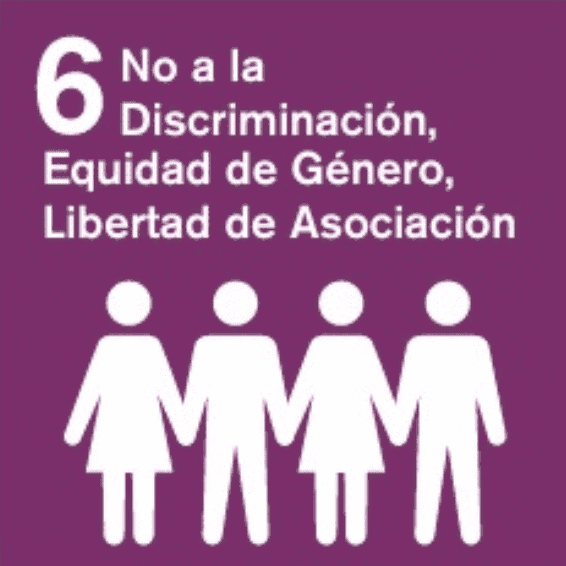NO a la discriminación, Equidad de Género, Libertad de Asociación